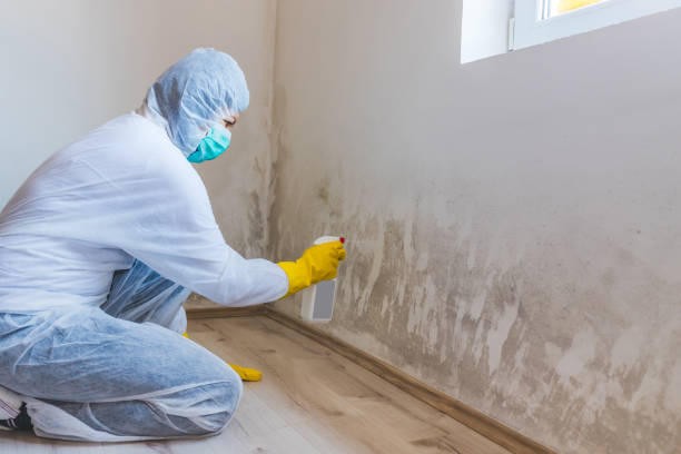Licensed Commercial Mold Remediation service in Wyckoff, NJ - WQB Mold Removal