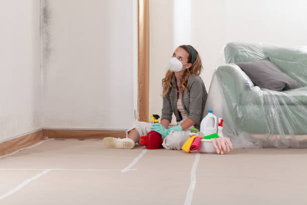 Reliable Commercial Mold Remediation contractor in Wyckoff, NJ by WQB Mold Removal