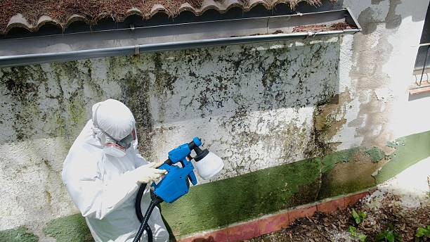Top rated local Commercial Mold Remediation specialists in Wyckoff, NJ